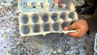 Homemade Egg Carton Fire Starter for Bushcraft [upl. by Olegnad]