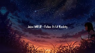 Juice WRLD amp Lil Yachty  Feline Remix  Lyric Video Prod phil [upl. by Airogerg]