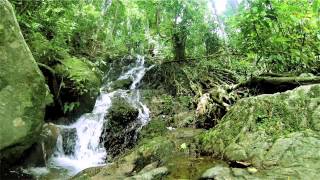 Guided Meditation 45 Minutes Guided Meditation  Track 05 [upl. by Hasina]