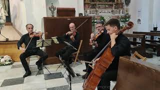 Ravello  Wedding Music  Duomo  Church string quartet [upl. by Ecnesse155]