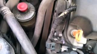 2006 Acura TL Belt Noise [upl. by Neellok]