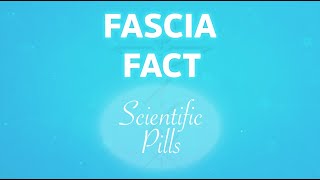 FASCIA FACT 2️⃣4️⃣  Italian version [upl. by Seamus699]