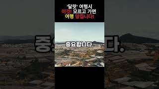 달랏 여행시 이것 모르고 가면 여행 망칩니다 베트남달랏나트랑 [upl. by Ennoirb]