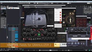 Magnetic Fields Expansion for GRANULIZER 2 [upl. by Edurtreg]