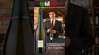 Scegliere il Vino  Franciacorta DOCG Brut Ferghettina [upl. by Dulcinea220]