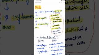 Inflammatory Cytokines pathology nextfmge nextexam inicet cytokines inflammation mbbs [upl. by Otto]