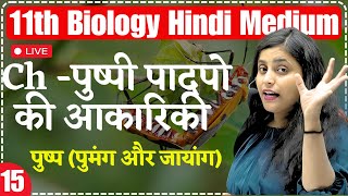 11th Biology  Lec 15  पुष्प पुमंग और जायांग  Ch  पुष्पी पादपों की आकारिकी For 11th hindi [upl. by Nnayllek]