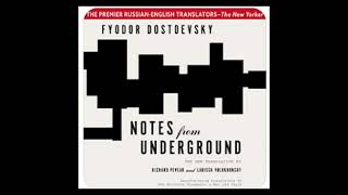 Notes From Underground  Full Audiobook [upl. by Airalednac3]