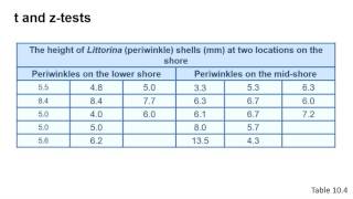 Two sample t and ztests for unmatched data in SPSS [upl. by Friedlander304]