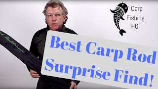 Best Carp Fishing Rods  A Surpising Discovery [upl. by Edivad]