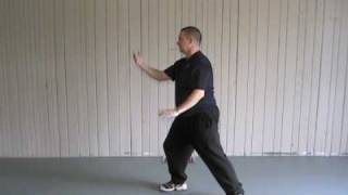 24 Form Tai Chi  Lesson 4  Part the Horses Mane continued [upl. by Shewchuk192]