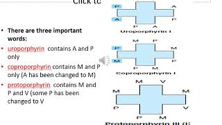 Porphyrins Chemistry Lec 1 By Dr Mohsina for 1st Year MBBS [upl. by Siuqaj938]