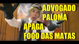 Advogado Paloma OUSA e apaga FOGO DA MATA [upl. by Devinne636]