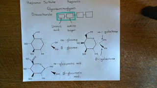 Antithrombin 3 and Heparin Part 6 [upl. by Lezlie]