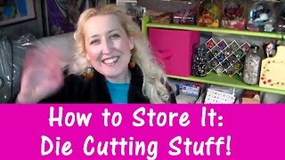 how to store die cutting stuff [upl. by Ahsikit]