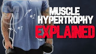 Muscle Hypertrophy Explained How to get MASSIVE Gains [upl. by Zipnick156]