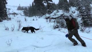 Banff National Park  Avalanche Rescue [upl. by Bozuwa]