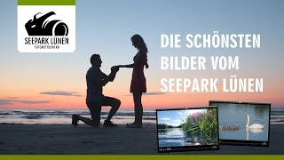 Fotowettbewerb Seepark Lünen  Die schönste Bilder werden gesucht [upl. by Ednihek]