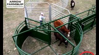 BudFlow® Force Yard  Cattle Tub  Cattle Equipment  Arrowquip [upl. by Irec448]