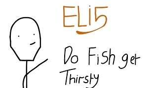 Do Fish Get Thirsty  ELI5 [upl. by Ahsetel]