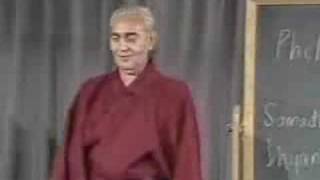 Yoga Sutras 4285 Swami Rama [upl. by Cartie]