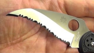 Spyderco Lil Matriarch Folding Knife [upl. by Reinald]