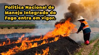 Política Nacional de Manejo Integrado do Fogo entra em vigor [upl. by Lanette]