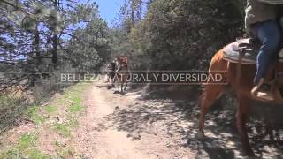 Cabalgata en Monterreal [upl. by Ihcas147]