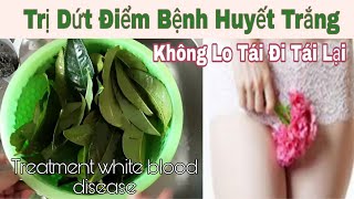 TRỊ DỨT ĐIỂM BỆNH HUYẾT TRẮNG KHÔNG LO TÁI ĐI TÁI LẠI  TREATMENT WHITE BLOOD DISEASE [upl. by Mela709]