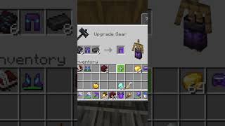 Very expensive but it’s drip minecraft minecrafter minecraftshorts minecraftmemes gaming￼ [upl. by Andri778]