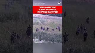 Ogromna grupa migrantów ruszyła na granicę w Białowieży [upl. by Oirevlis]