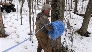 Making Maple Syrup  Running the 316 Line for Gravity Vacuum System [upl. by Jewel719]