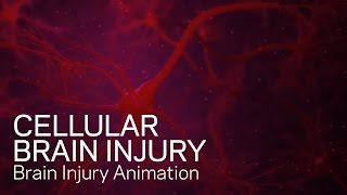 Cellular Brain Injury  Medical Animation [upl. by Crescentia]