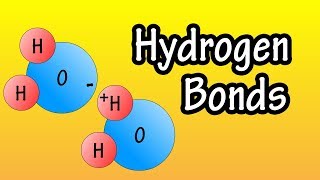 Hydrogen Bonds  What Are Hydrogen Bonds  How Do Hydrogen Bonds Form [upl. by Jordon]