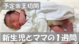 【帝王切開】新生児とママの１週間の入院記録 Vlog [upl. by Akeihsat]