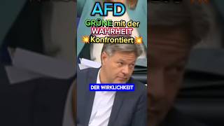 💥SCHOCK für HABECK💥 AfD konforntiert ihn mit Der REALITÄT afd grüne weidel habeck ampelmussweg [upl. by Dalpe]