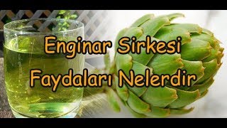 Enginar Sirkesi Faydaları Nelerdir [upl. by Amesari]