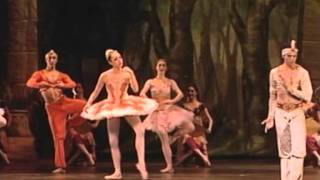 La Bayadere [upl. by Jobie]