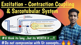 Sarcotubular System ExcitationContraction Coupling Nerve Muscle Physiology  hindi  Ashish [upl. by Bruis]