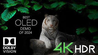 4K OLED TV TEST 2024  Dolby Vision  60FPS HDR Demo [upl. by Zennie826]