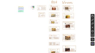 Virology Microbiology Overview  RNA Viruses II [upl. by Nipahc]