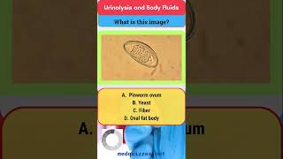 Abnormal images in Urine Quiz medicalmcqs laboratorymcqs abnormalimagesinurine [upl. by Harve]