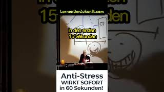 Sofort Trick gegen Stress  funktioniert garantiert  Anti Stress Training Vera F Birkenbihl [upl. by Zingale]