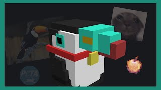 Toucan pet in Minecraft [upl. by Bremser599]