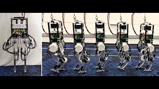 The Duke Humanoid Design and Control For Energy Efficient Bipedal Locomotion Using Passive Dynamics [upl. by Maurizia]