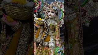 राधा रानी मेरी है vrindavan radharani radheradhe radhekrishna radhe shortsfeed yt shorts [upl. by Erastes]