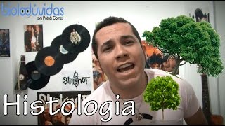 Aula 29 Tecidos Vegetais  Aula de Biologia ENEM e Vestibulares [upl. by Pallua820]