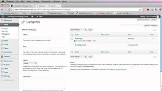 How to Create subsub Categories in WordPress [upl. by Abigale]