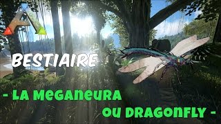 Ark Survival Evolved  FR  Bestiaire  La Meganeura ou DragonFly [upl. by Limay]