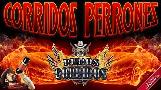 PUROS CORRIDOS VIEJITOS PA PISTEAR  MIX DE CORRIDOS FAMOSOS DE TODOS LOS TIEMPOS [upl. by Siubhan673]